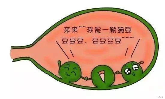 膽囊息肉