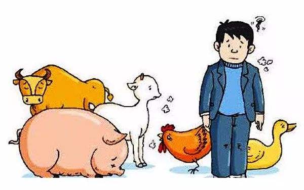 布氏桿菌病