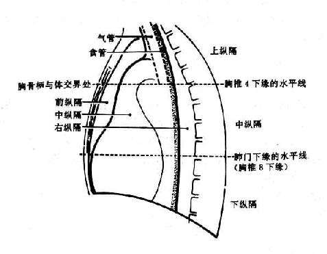 縱隔疾病