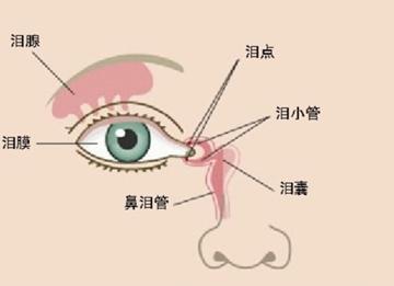 淚腺腫瘤