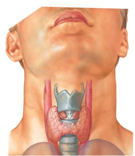 甲狀腺腫瘤