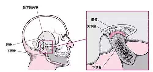 顳下頜關節病