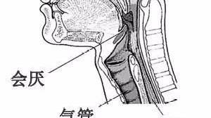 會(huì)厭囊腫