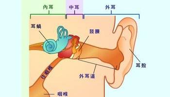 傳導性耳聾