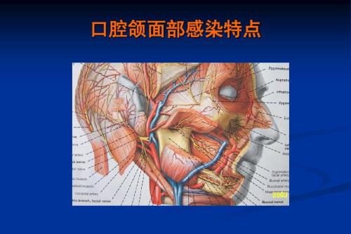 口腔頜面部間隙感染