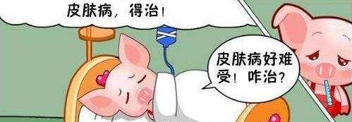 皮膚病