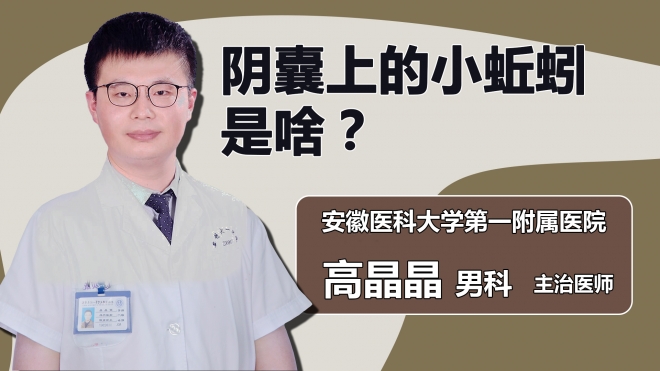 陰囊上的小蚯蚓是啥？