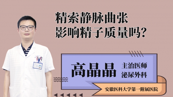 精索靜脈曲張影響精子質量嗎？